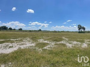 Terreno en Venta en San Juan del Llanito Apaseo El Alto