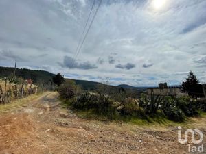 Terreno en Venta en Tlacotepec Tlalpujahua