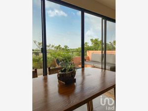 Departamento en Venta en Tumben Kaa Tulum