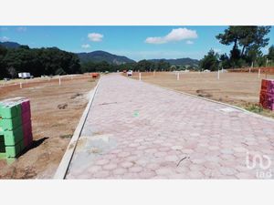 Terreno en Venta en Morelos Omitlán de Juárez