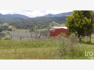 Terreno en Venta en San Pedro Tlachichilco Acaxochitlán