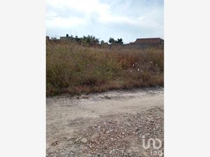 Terreno en Venta en Zapote Del Valle Tlajomulco de Zúñiga