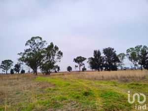 Terreno en Venta en Santa Cruz de Abajo Texcoco