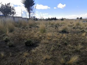 Terreno en Venta en San Juan de las Huertas Zinacantepec