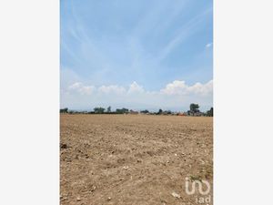 Terreno en Venta en San Gregorio Cuautzingo Chalco