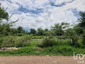 Terreno en Venta en Santiago Yautepec