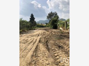 Terreno en Venta en San Esteban Tizatlán Tlaxcala