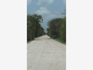 Terreno en Venta en Ciénega 2000 Progreso