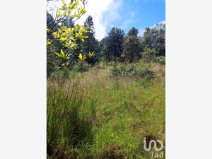 Terreno en Venta en Zacualpan de Ecatepec San Cristóbal de las Casas