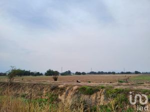 Terreno en Venta en Santa Cruz de Abajo Texcoco