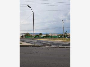 Terreno en Venta en Chalco de Díaz Covarrubias Centro Chalco