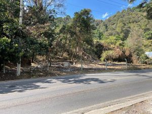 Terreno en Renta en Chalmita Ocuilán