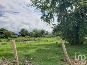 Terreno en Venta en Santiago Yautepec