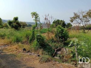 Terreno en Venta en Santa Cruz Xochitepec