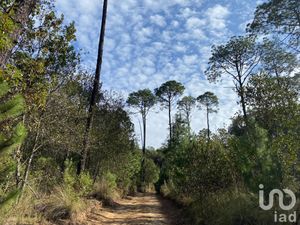 Terreno en Venta en Cerro Gordo Omitlán de Juárez