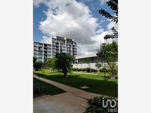 Departamento en Venta en Montebello Mérida