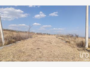 Terreno en Venta en Campestre Lomas del Sur Romita