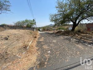 Terreno en Venta en Obrera Popular Xochitepec