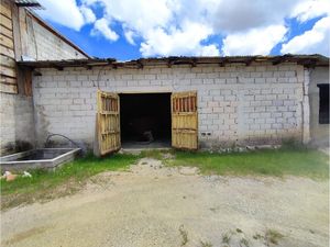 Local en Renta en Bismark San Cristóbal de las Casas