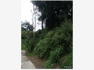 Terreno en Venta en San Francisco Chimalpa Naucalpan de Juárez