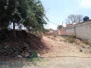 Terreno en Venta en Atacco Tapalpa