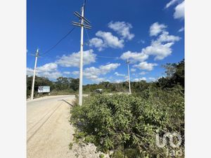 Terreno en Venta en Papagayos Hunucmá