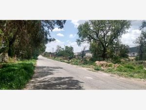 Terreno en Venta en Pachuquilla Mineral de la Reforma