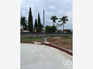 Terreno en Venta en Delicias Cuernavaca