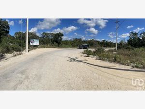 Terreno en Venta en Papagayos Hunucmá