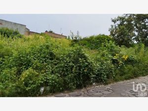 Terreno en Venta en Cerro del Cuatro 1ra. Sección San Pedro Tlaquepaque