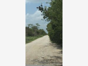 Terreno en Venta en Ciénega 2000 Progreso