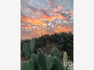 Terreno en Venta en El Toreador San Miguel de Allende