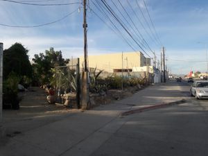 Terreno en Renta en Lagunitas Los Cabos