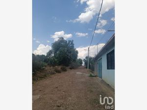 Terreno en Venta en Hidalgo A Nopaltepec