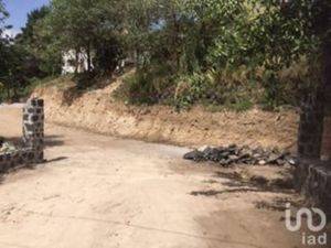 Terreno en Venta en Ignacio Allende Huixquilucan
