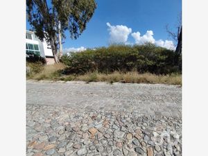 Terreno en Venta en Campestre Haras Amozoc