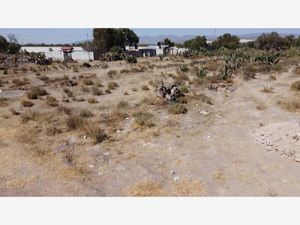 Terreno en Venta en Azoyatla de Ocampo Mineral de la Reforma