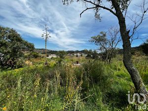 Terreno en Venta en San Luis Boro Atlacomulco