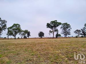 Terreno en Venta en Santa Cruz de Abajo Texcoco