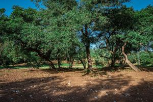 Lotes campestres en La Tinaja