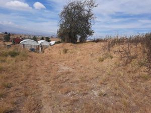 Terreno en Venta en Almoloya del Rio Almoloya del Río