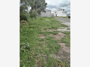 Terreno en Venta en San Gaspar Tlahuelilpan Metepec