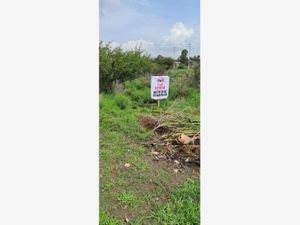 Terreno en Venta en Potreros del Sur Silao de la Victoria