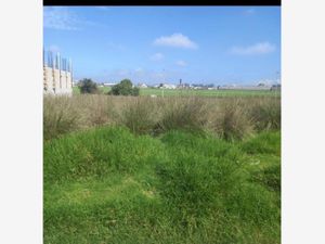 Terreno en Venta en Santiago Tianguistenco de Galeana Tianguistenco