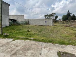 Terreno en Venta en Santiaguito Tlalcilalcalli Almoloya de Juárez