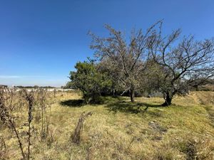 Terreno en Venta en San Cristobal Tecolit Zinacantepec