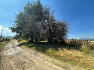 Terreno en Venta en San Cristobal Tecolit Zinacantepec