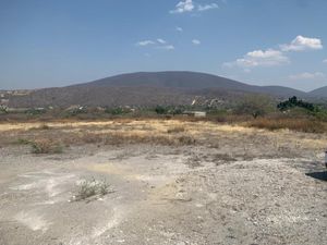 Terreno en Venta en Las Estacas Tlaltizapán de Zapata