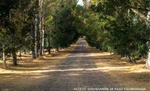 Venta de gran y hermoso Rancho San Joaquín, San Miguel de Allende | ZONA LUXURY