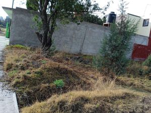 Terreno en Venta en San Andres Ahuashuatepec Tzompantepec